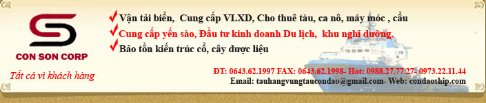 Công ty cổ phần Côn Sơn